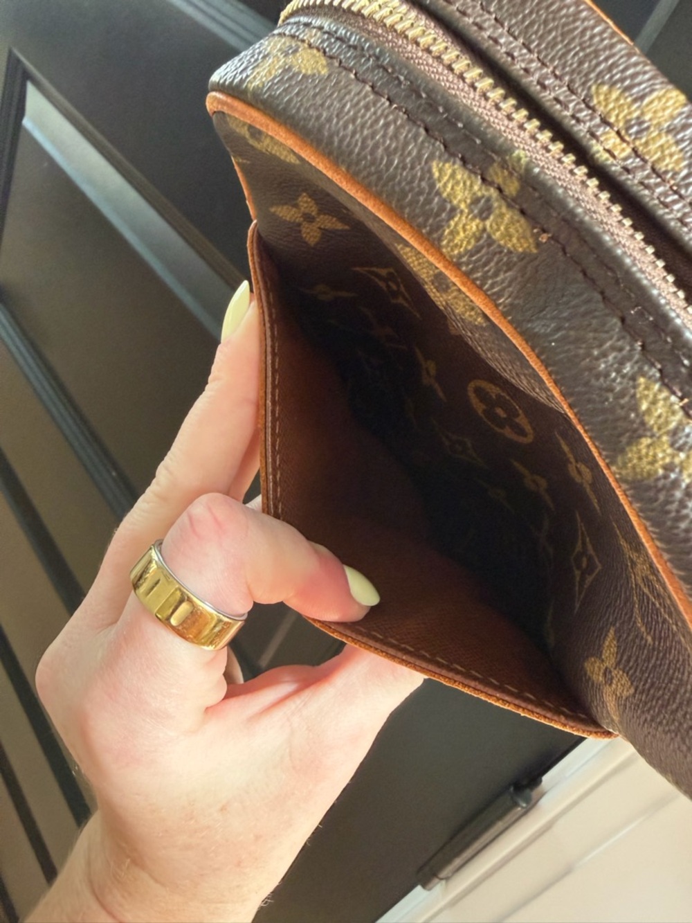 LOUIS VUITTON Danube - Picture 7 of 7
